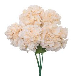 Peach Hydrangea Bush