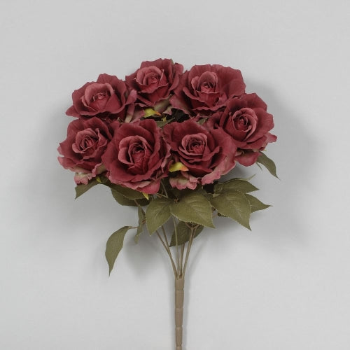 Burgundy French Rose Bush