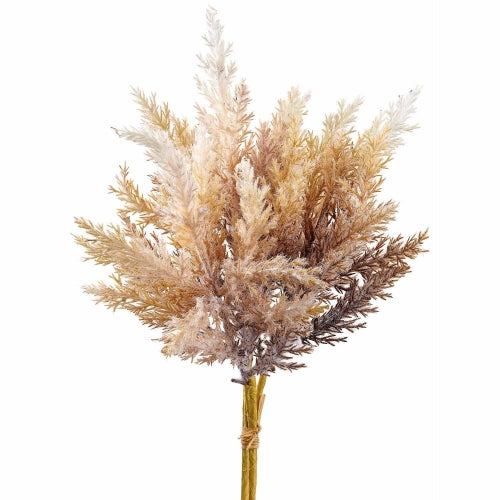 Beige or Cream Mix Pampas Grass Bundle