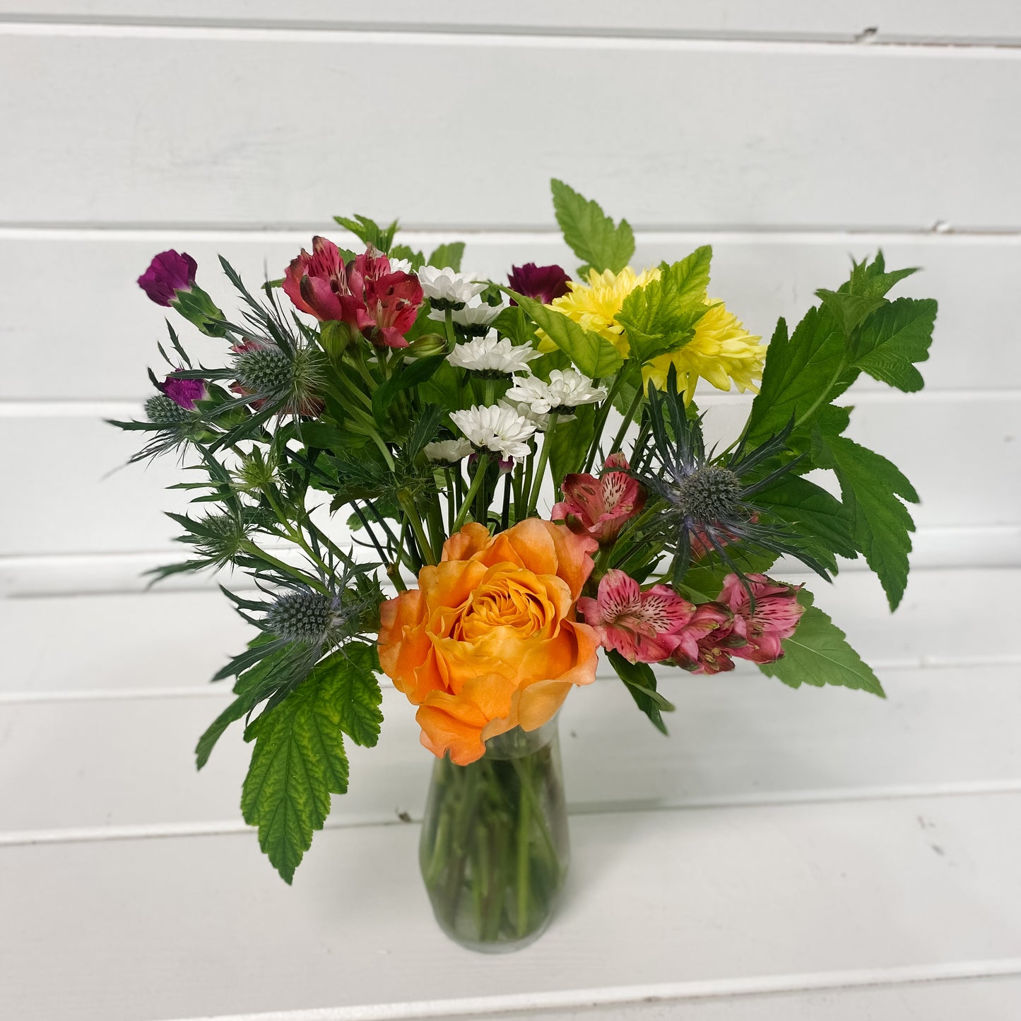 The Sienna Arrangement