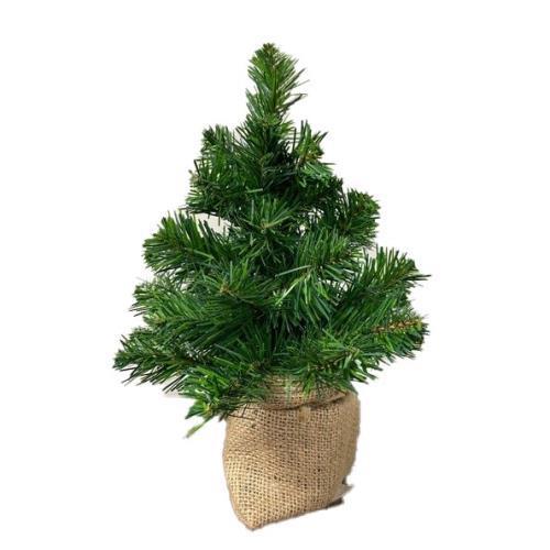 Green Evergreen Tree with Burlap Base
