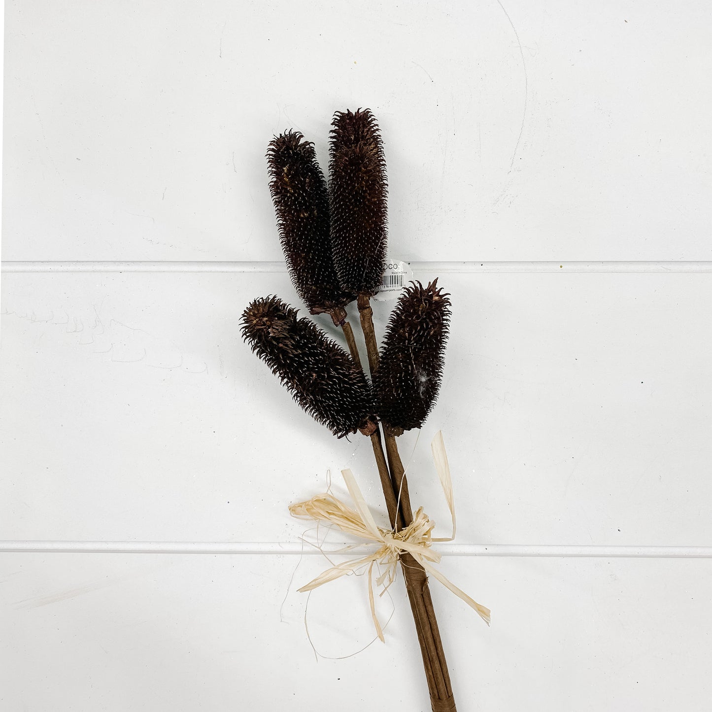 Thistle Permanent