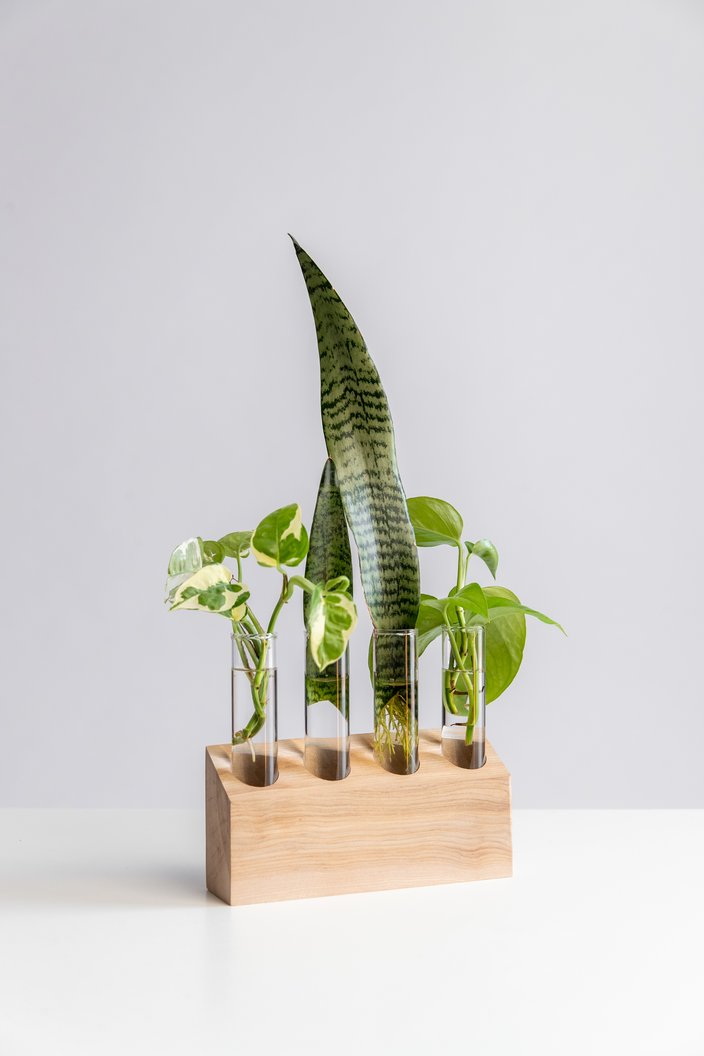 4 Tube Propagation Stand with Propagates