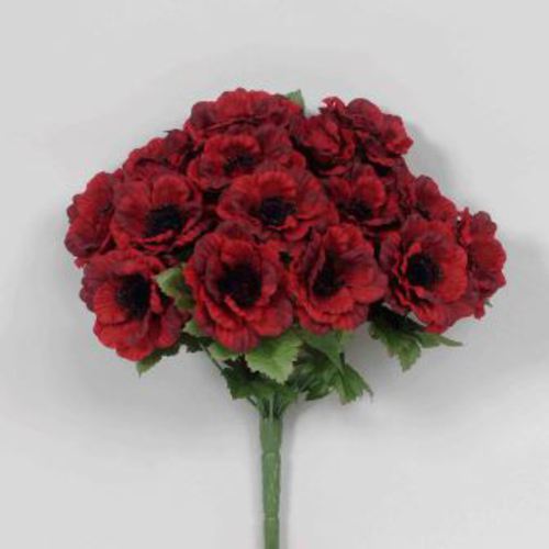 Black Burgundy Anemone Bush