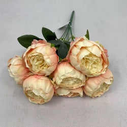 Peach/Yellow Peony Bush
