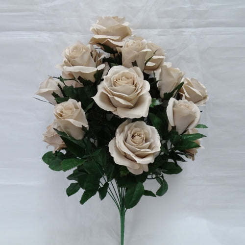 Tan Rose Bush