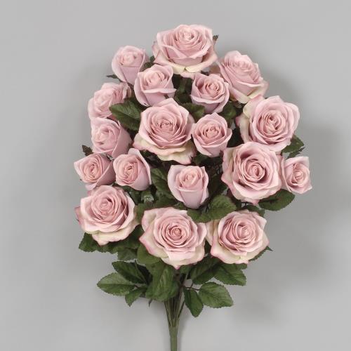 Rose Coloured Rose Bush