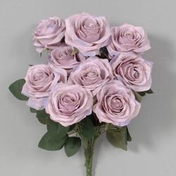 Lavender Rose Bush