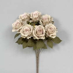 Sage Pink French Rose Bush