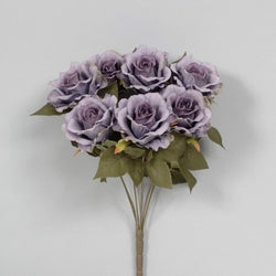 Lavender French Rose Bush