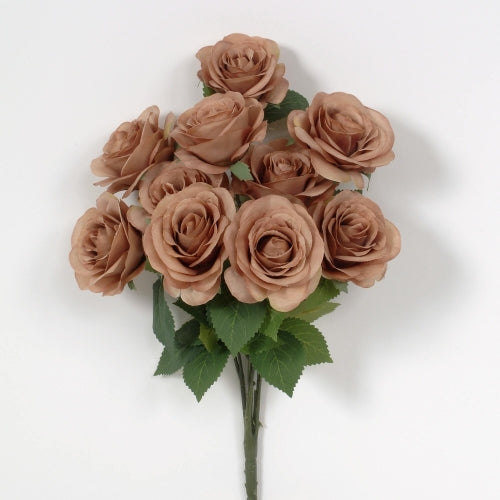 Light Brown Rose Bush