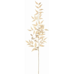 Cream Italian Ruscus Leaf Spray