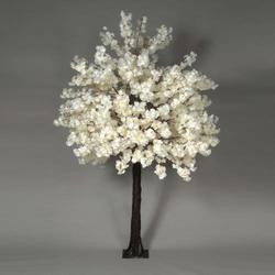 Spring Blossom Tree