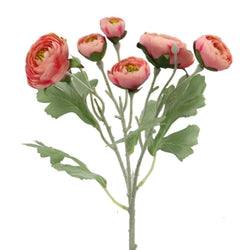 Salmon Peach Ranunculus Spray