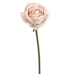 Soft Pink Rose Stem