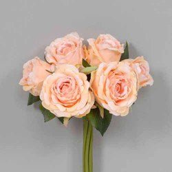 Peach Rose Bush