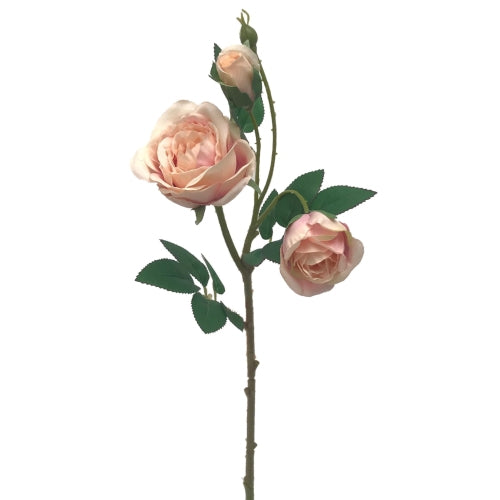 Blush or White English Garden Rose Bunch