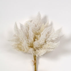 Beige or Cream Mix Pampas Grass Bundle