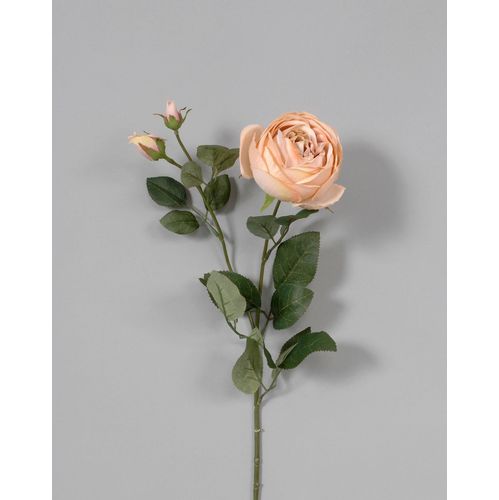 Permanent Bisque Cabbage Rose Stem
