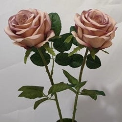 Mauve Rose Stem