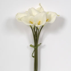 Calla Lily Bundle