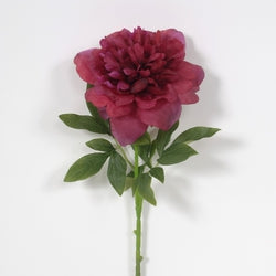 Peony- Large Head