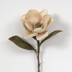 Ivory Magnolia Stem