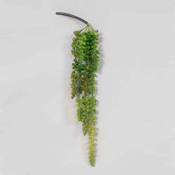 Hanging Dark Green Sedum Stem