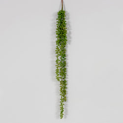 Green String of Pearls Succulent Spray