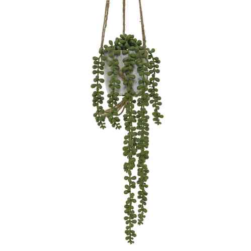 Green Hanging String of Pearls with Pot & Rope
