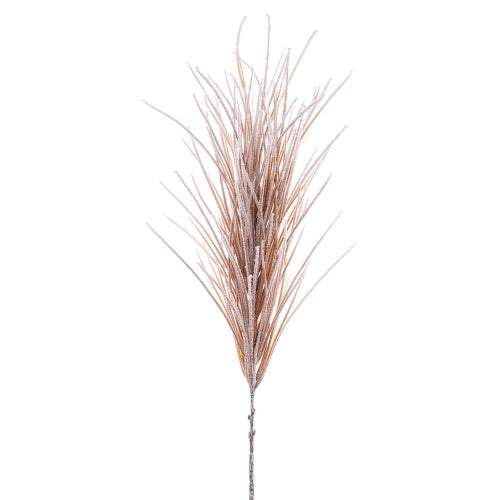 Natural Flocked Pampas Grass