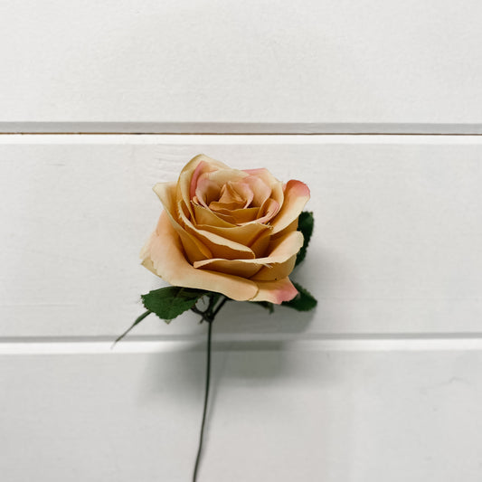 Pink-tipped Cream Rose Stem