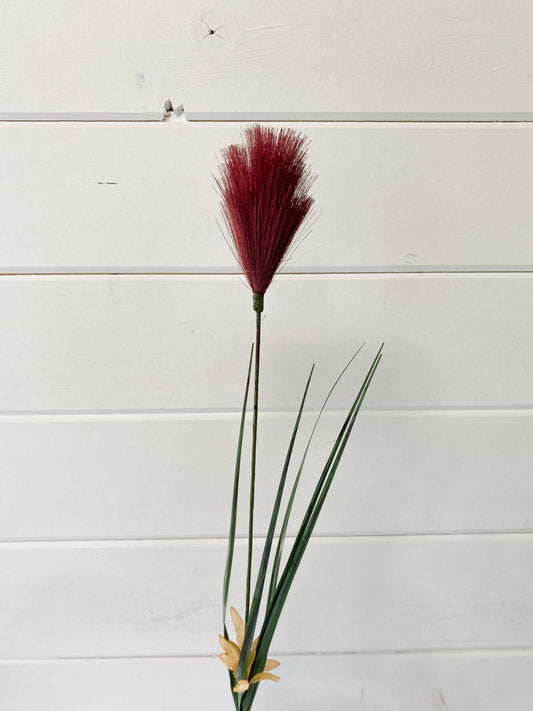 Burgundy Plume/Onion Grass