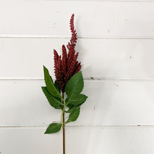 Burgundy Astilbe Garden Stem