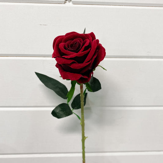 Wine Coloured Standard Rose