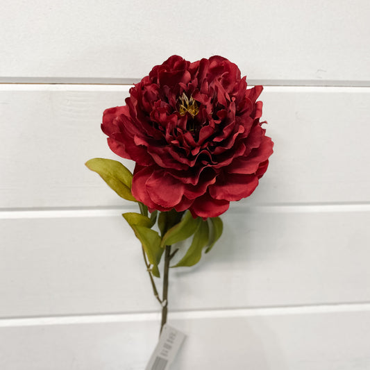 Dark Magenta Peony Stem
