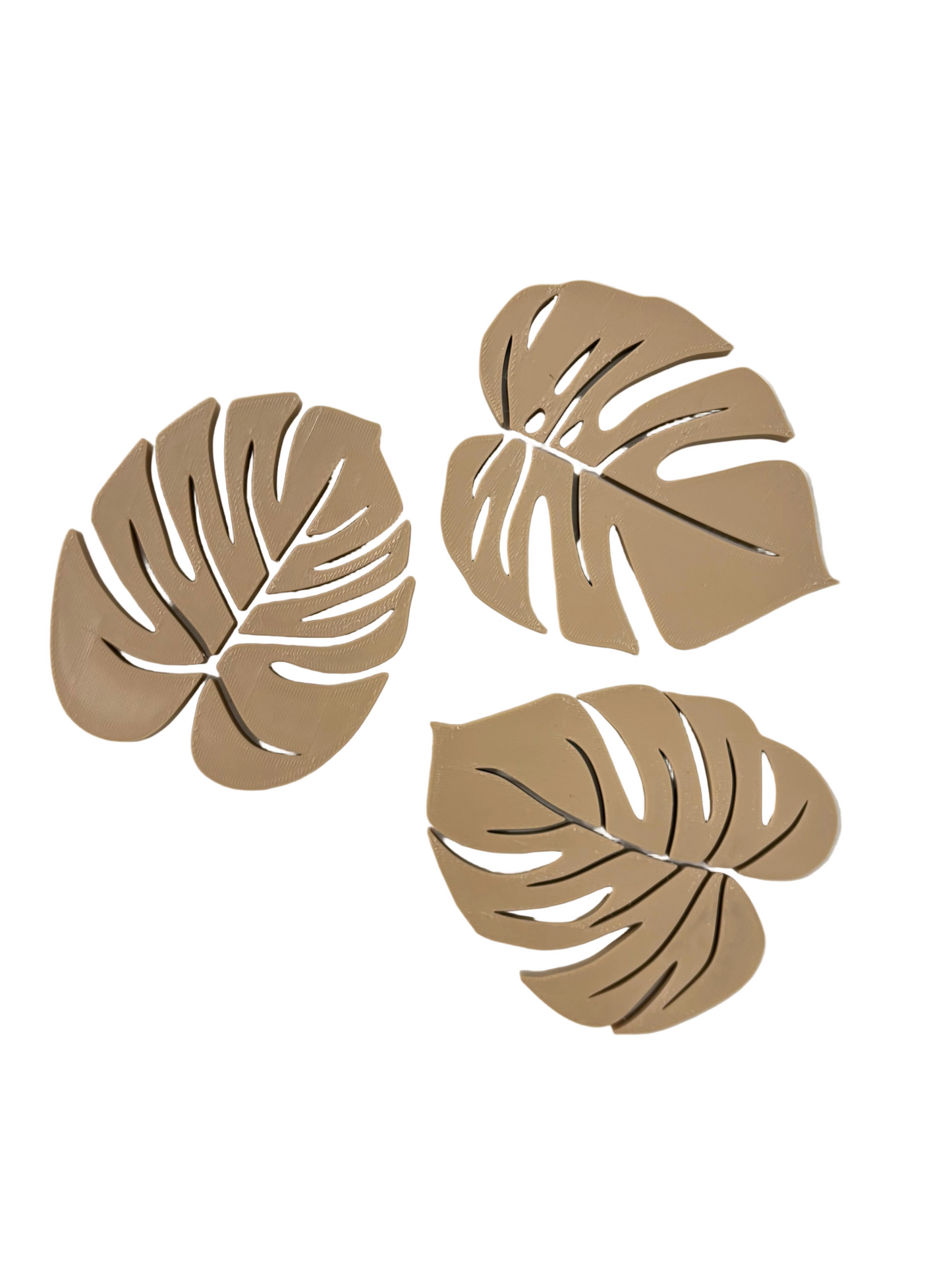 Monstera Leaf Coasters