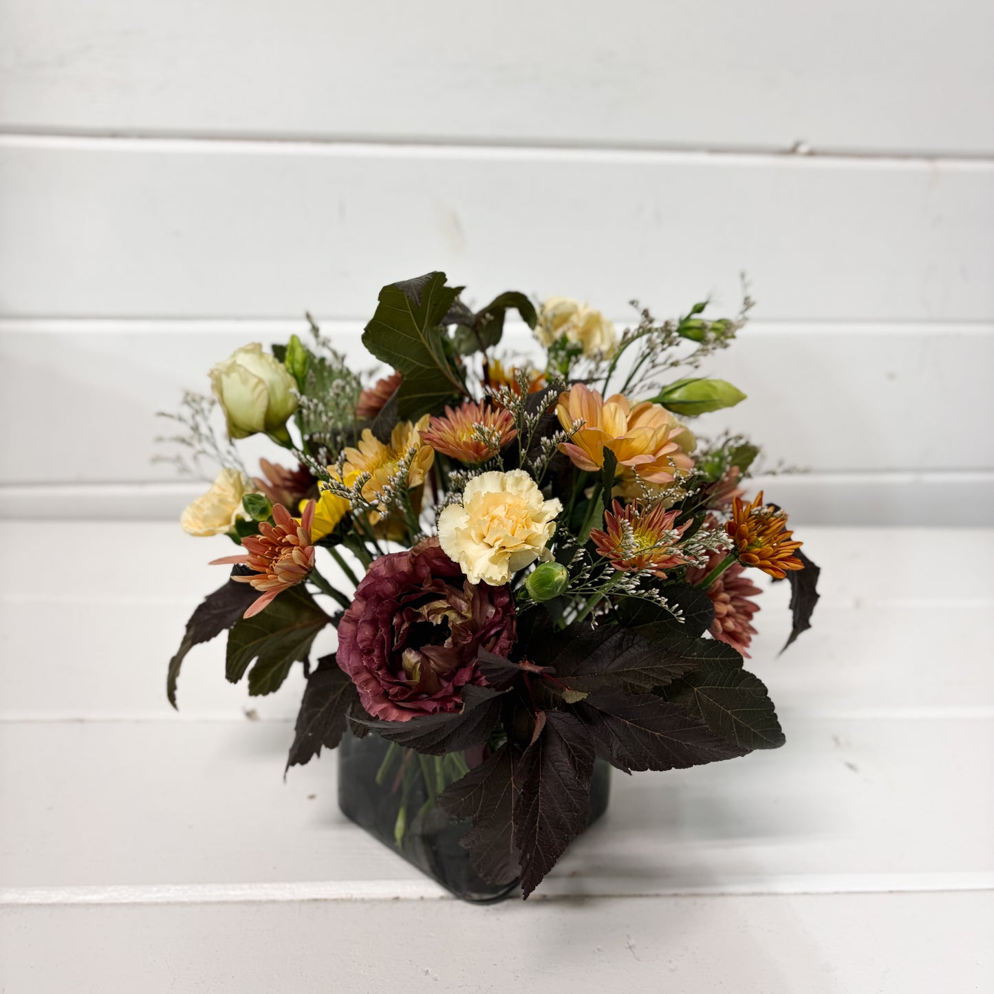 The Janessa Arrangement