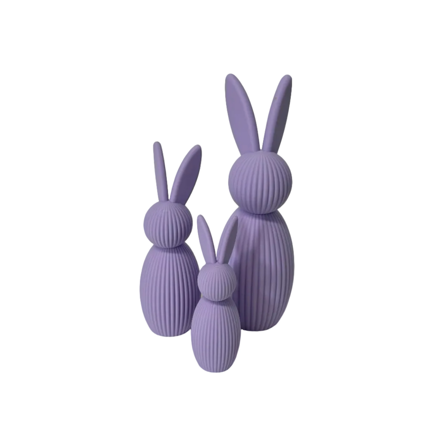 The Violet Bunny
