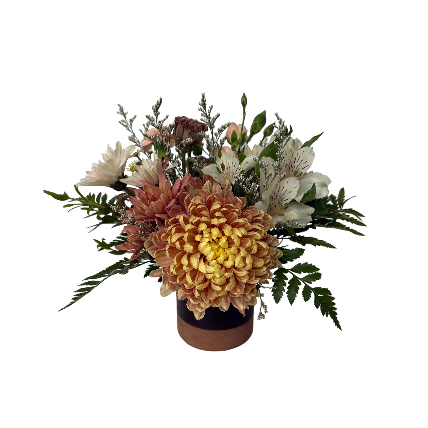 The Daphne Arrangement