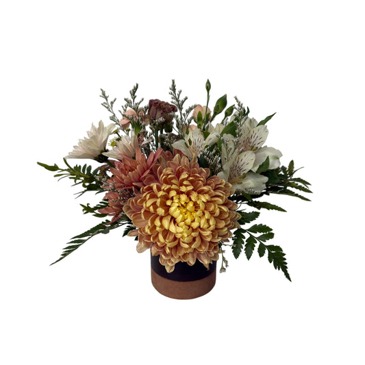 The Daphne Arrangement