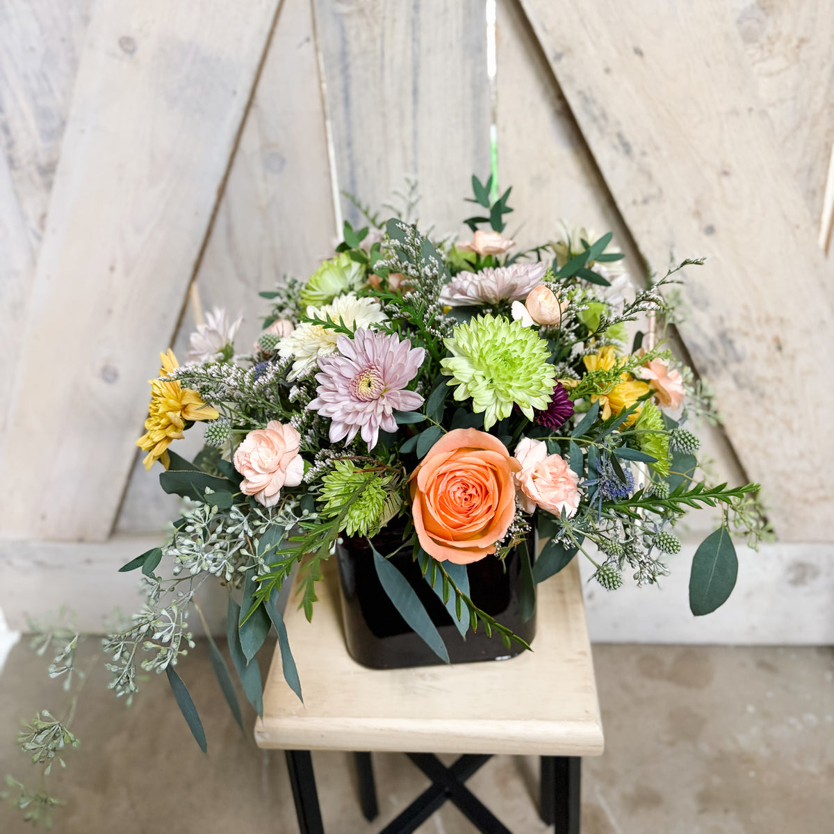 The Vega Arrangement