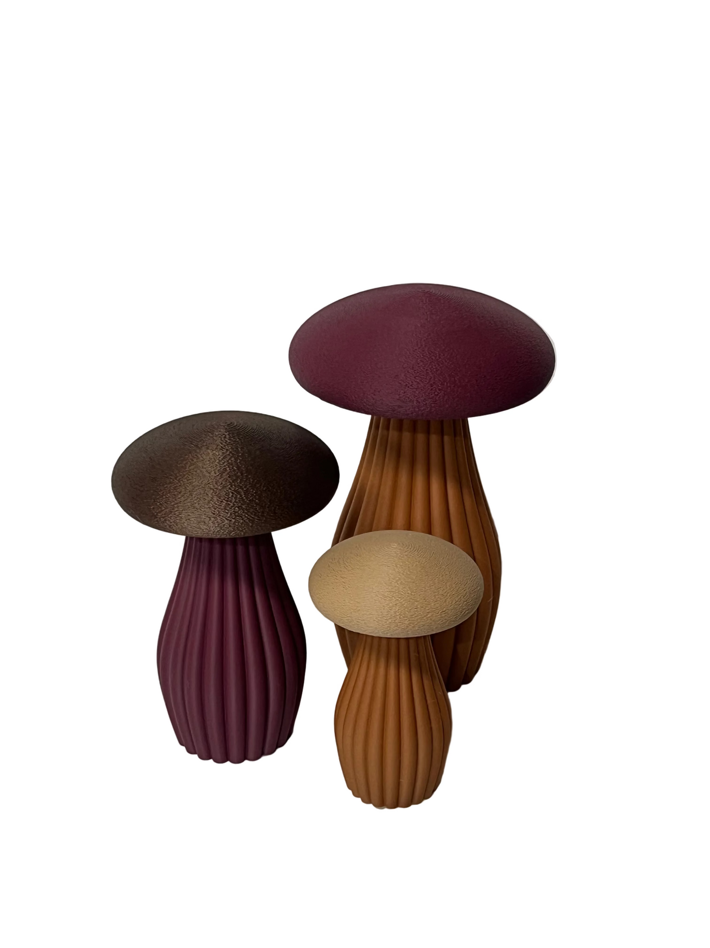 The Laina Mushroom