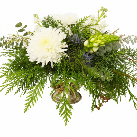 The Vixen Arrangement