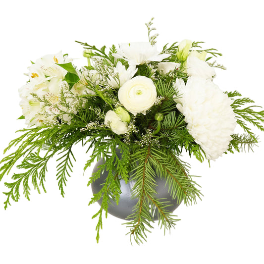 The Comet Arrangement