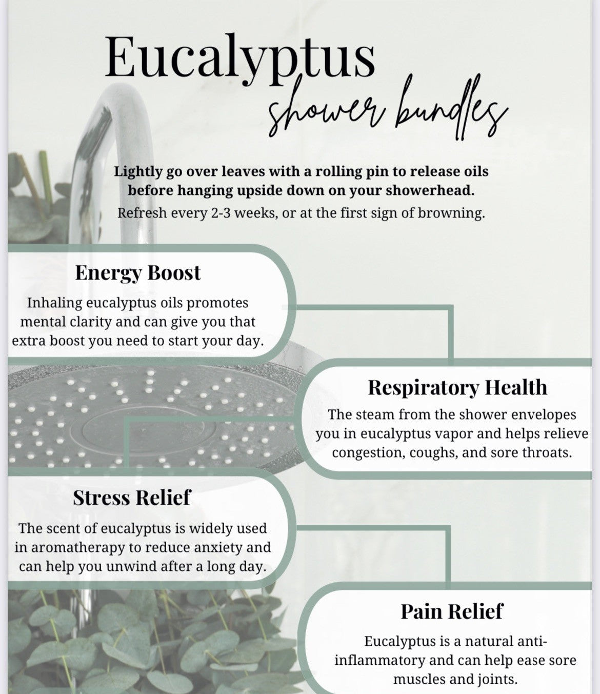 Eucalyptus Shower Bundles