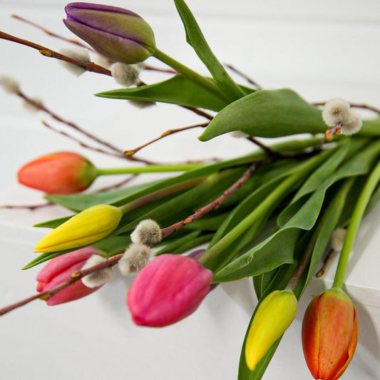 Tulip Bunches with Pussy Willow