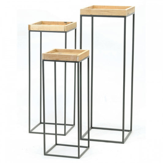 Fern Stand With Wood Top