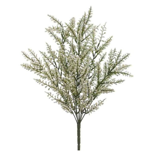 White Astilbe Bush