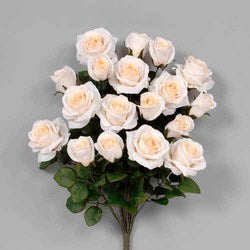 Cream Cheese Rose Bush